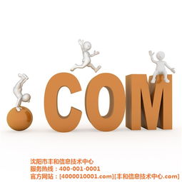豐和信息技術中心 遼源市網絡推廣與高清圖片經濟信息咨詢的專業引領者