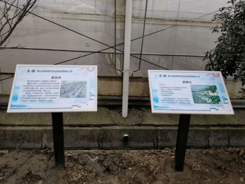 高顏值、高科技、高標準 張浦鎮(zhèn)“三維一體”高質(zhì)量推進蔬菜基地建設(shè)與技術(shù)推廣
